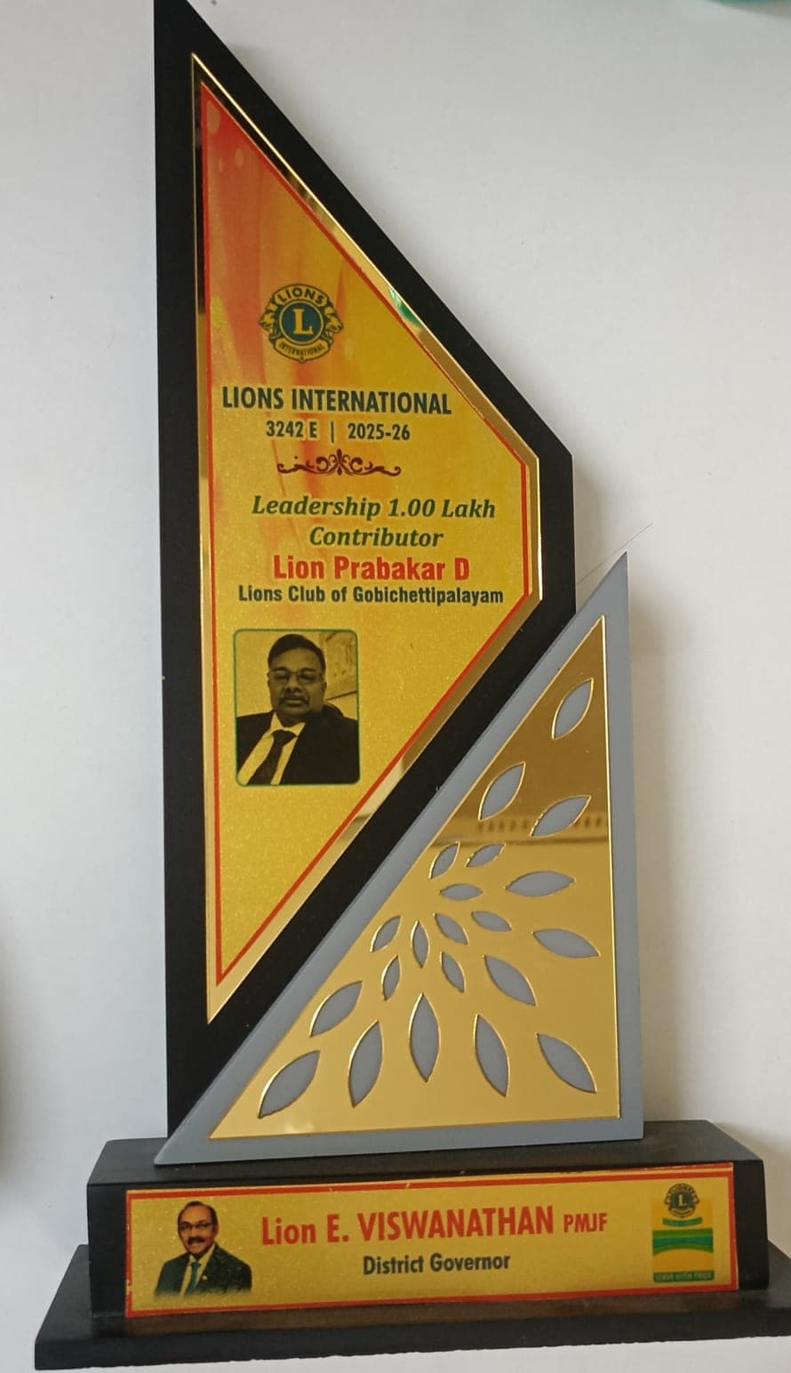 Lions International Award